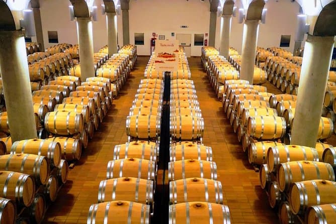 Best Erice & Marsala Wine Tasting Experience in Palermo