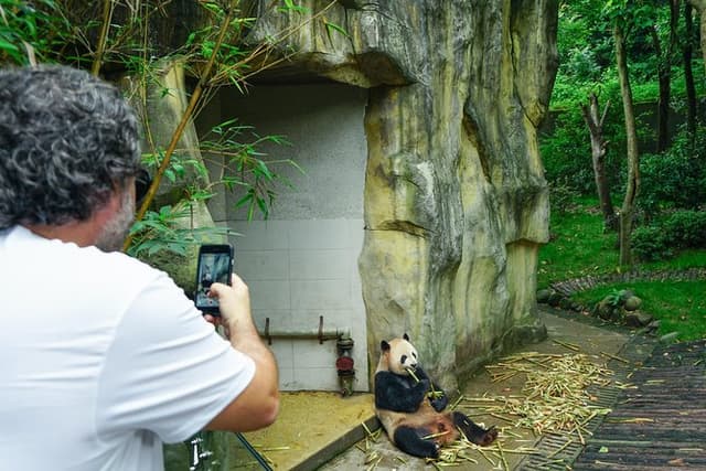 Dujiangyan Panda Base: 2 hours Panda Valley visit