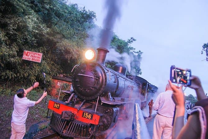 Experience Luxury on the Royal Livingstone Express Train