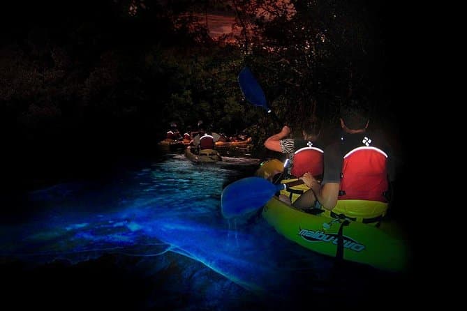 Compare Top El Yunque Rainforest Tours in Isla Verde