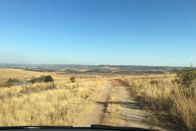 Johannesburg Airport to Pretoria Transfer Made Easy