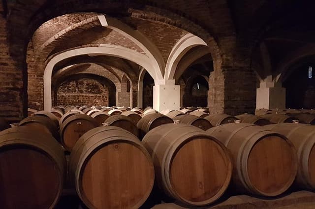 Santa rita