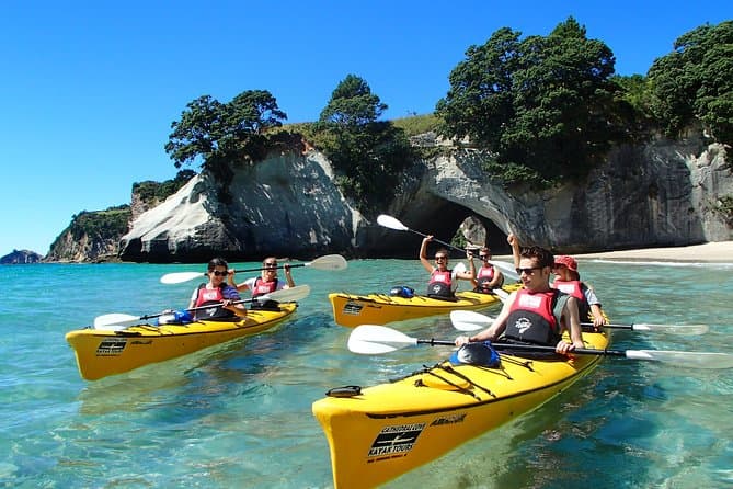 Best Cathedral Cove & Hot Water Beach Day Tours