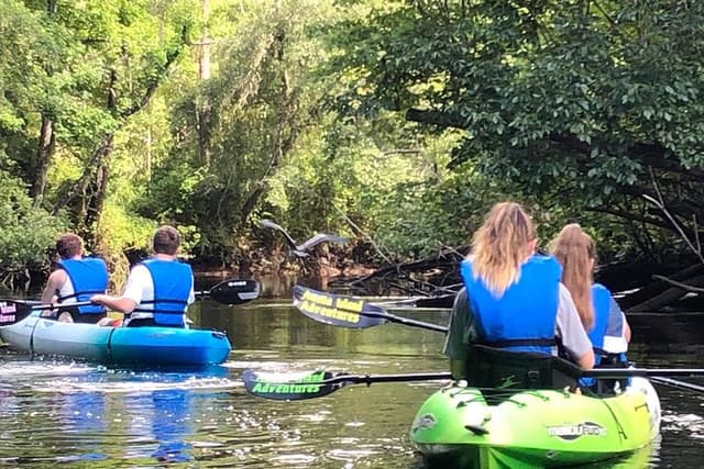 Guided Kayak Eco Tour: Real Florida Adventure