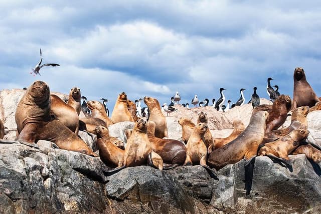Beagle Channel Navigation with Minitrekking
