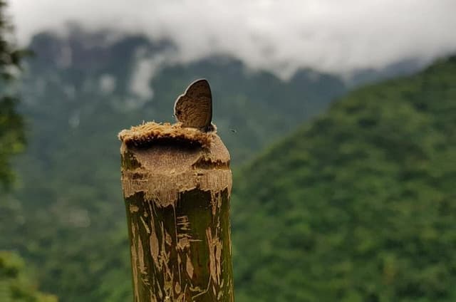 4D/3N Glimpse of Meghalaya