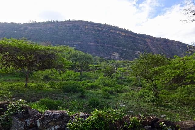 Eco Walk: The Royal Road To Cabrera