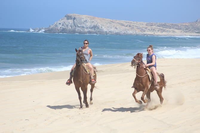 Unforgettable Horseback Riding Adventures in Cabo San Lucas