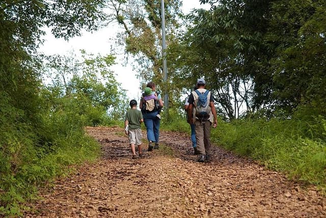 Birding in Kathmandu: Birdwatching Tour in Kathmandu Valley