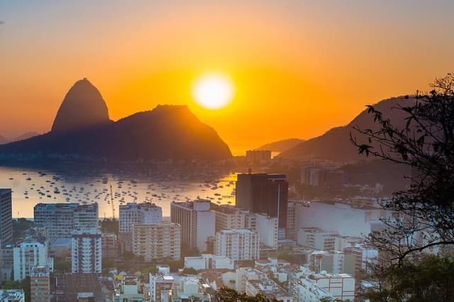 9 in 1: Meet Rio in one day!