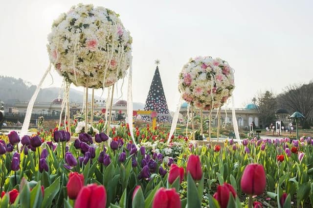 Everland Resort (the world’s 7th-largest theme park)