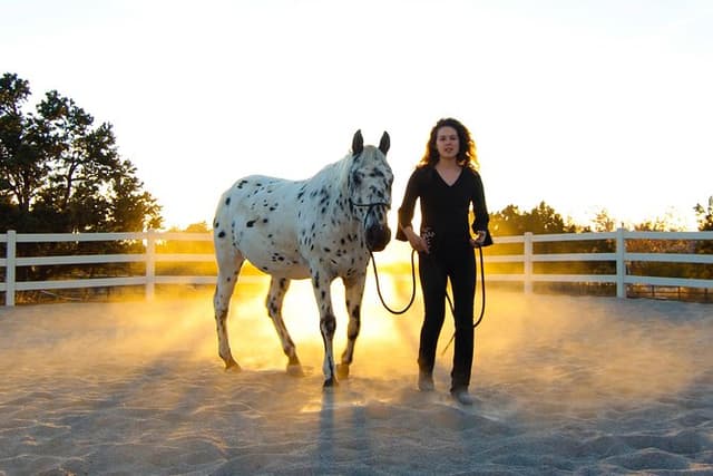 Leadership & Mindfulness Retreat with Horses - Individual & Group
