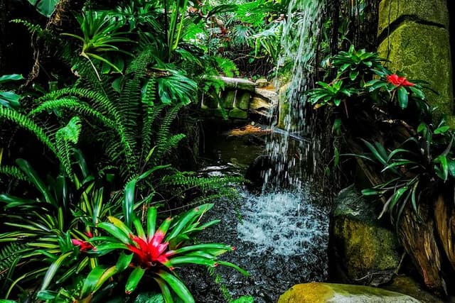 Ultimate Group Package Tour of Victoria