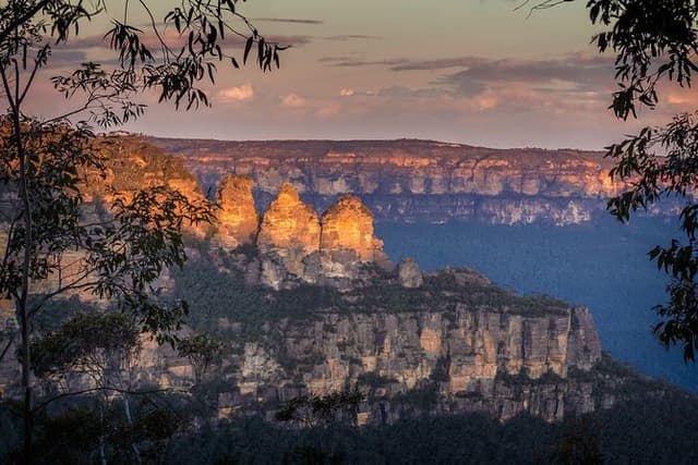 Blue Mountains Private Tour with Kangaroo and Koala Experience