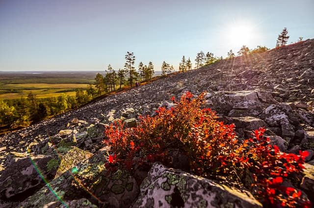 Guided easy hike in Finland deepest gorge in Pyhä-Luosto National Park