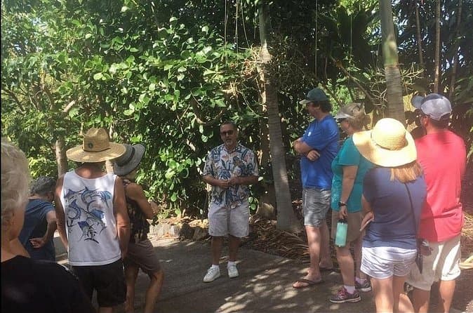 Best Kona Coffee Tours on Big Island