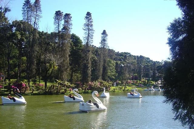 Tour Hortencias cinnamon Private lawn - 1-4 Pax by Fatur Turismo