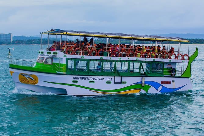 Galle to Mirissa: Whale Watching & Dolphin Encounters