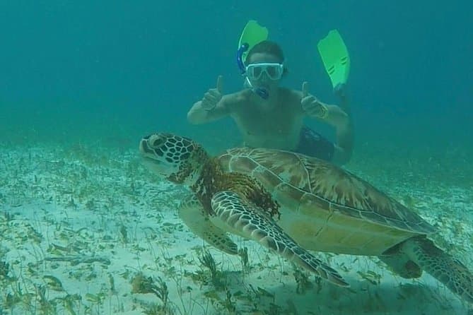 Top-Rated Hol Chan Snorkeling Options in Ambergris Caye