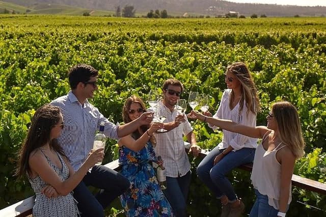 Casablanca Valley Experience
