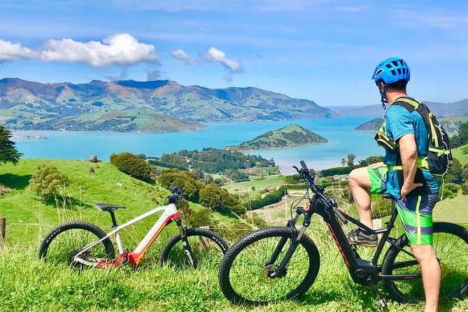 Best Akaroa Marine Reserve Kayak Tours