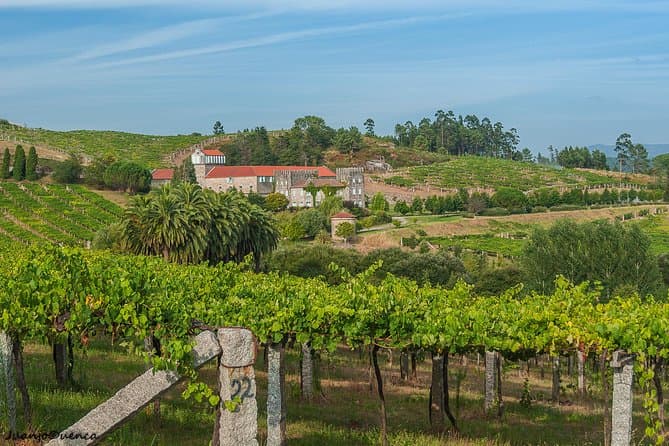 Albariño Wine Tour