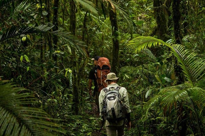 Unforgettable Tangkoko National Park Wildlife Adventure
