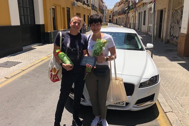 Private Half-Day Sightseeing in Seville