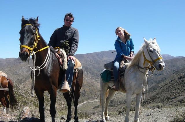 Sunset Horseback Riding