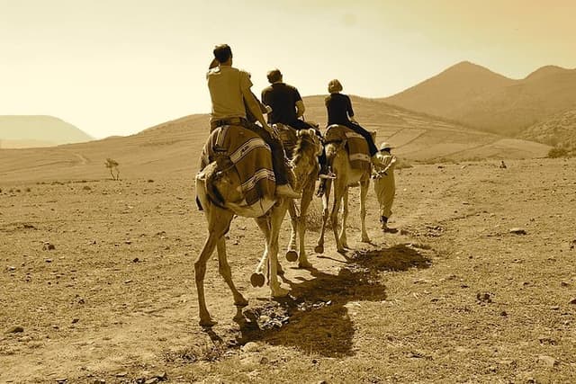 Atlas Mountains experience day trip