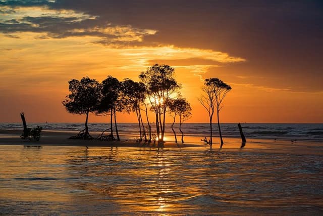 Explore Delightful Darwin: Self-Guided Audio Tour
