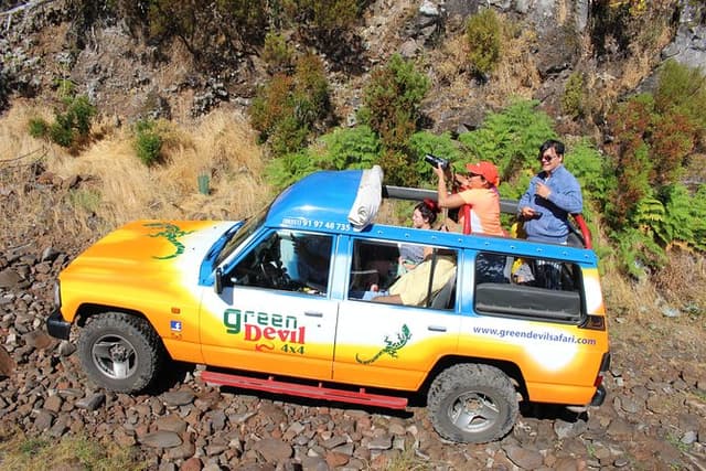 Madeira Peaks - Open 4X4 Full-Day Tour