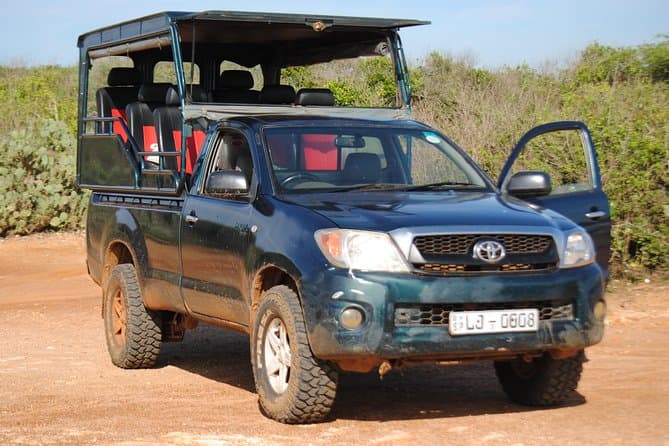 Galle to Yala National Park: Leopard Safari