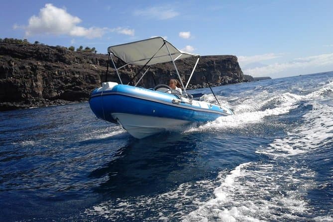 Best La Gomera Whale Watching Tours
