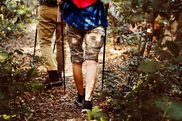 Jungle Trekking in Yala Buffer Zone from Hambantota Harbor
