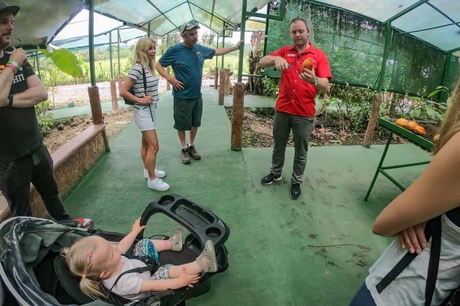 Authentic Cacao Experience: La Fortuna Chocolate Tour