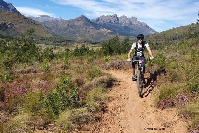 Private Mountain Biking Tour from Cape Town