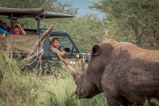Epic Wildlife Safaris at Hluhluwe-Imfolozi Park
