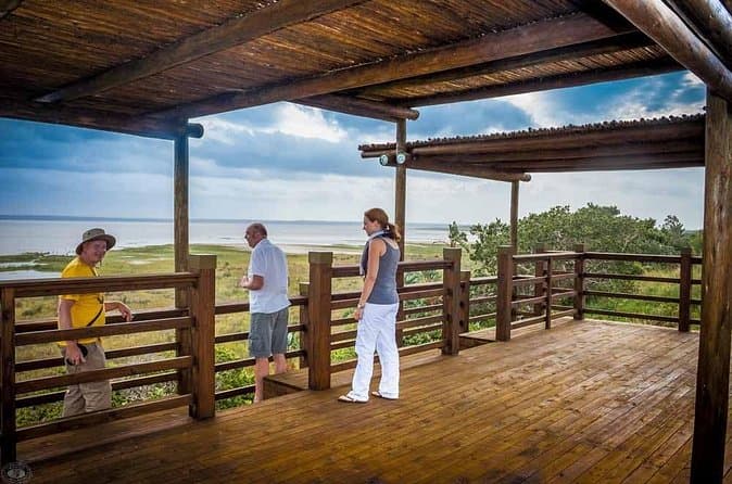 Best iSimangaliso Wetlands Park Tours & Safaris