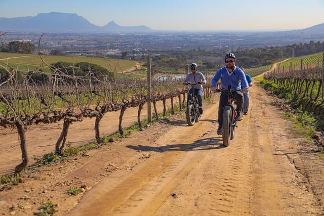 Cape Town: E-bike Wineland tour half-day