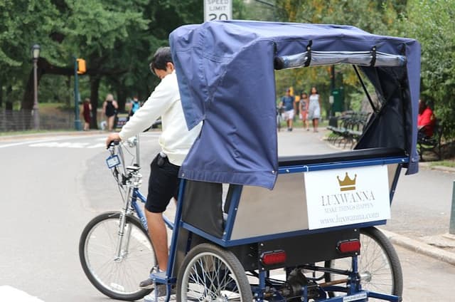 Central Park VIP Tour (All park tour up to 2 hour with unlimited stops) pedicab