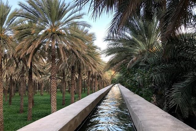 Old Nizwa authentic walks