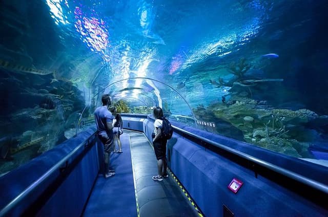 Pattaya Underwater World Entrance Ticket