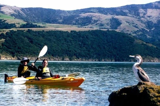 Unforgettable Akaroa Marine Reserve Kayak Adventures