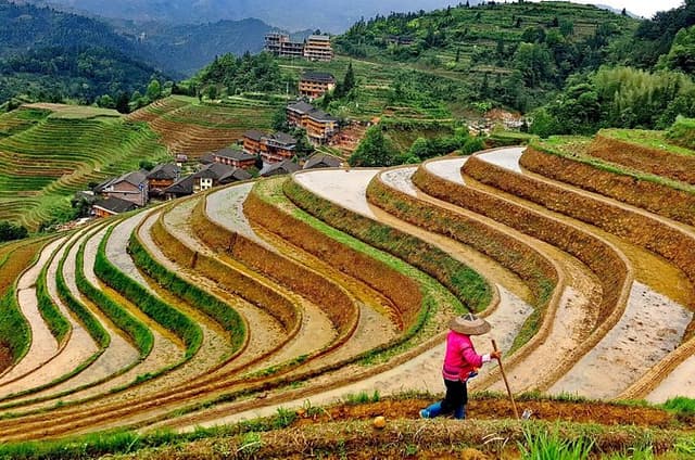 Longji Rice Terraces Day Tour with the Ping'an and Dazhai Village