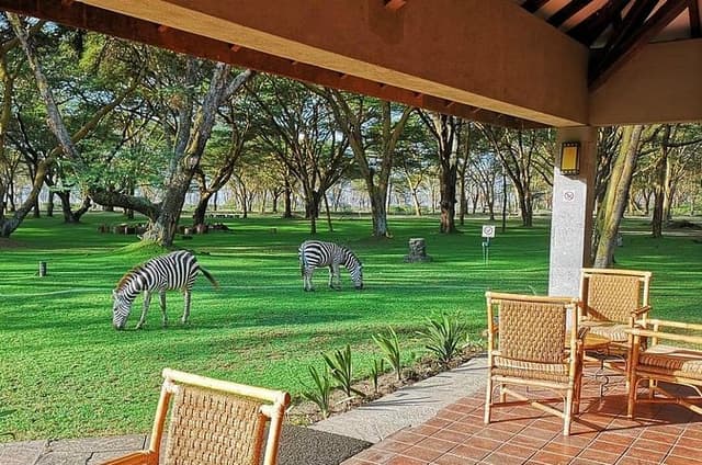 Masai Mara/ Lake Nakuru/ Lake Naivasha/ Amboseli 7 Days Safari