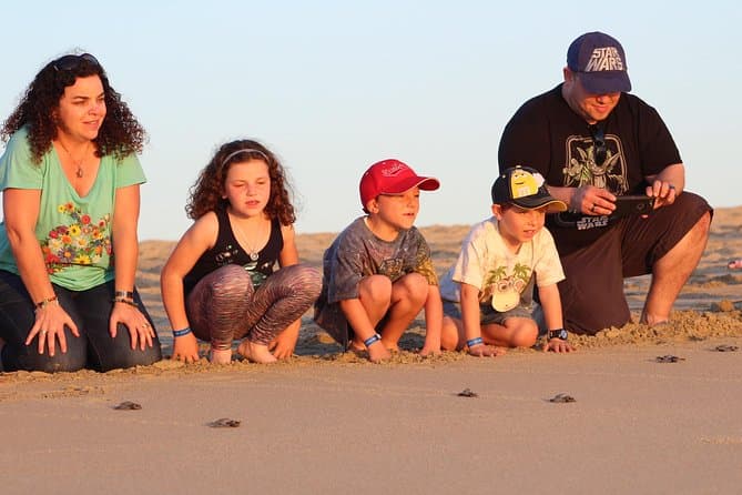 Eco-Friendly Turtle Releases in Cabo