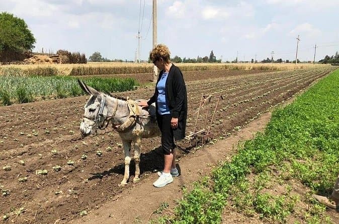 Compare Top Countryside Tours from Cairo