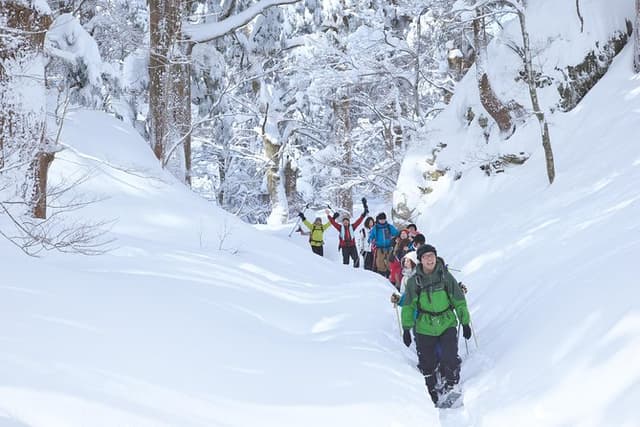 Snowshoe Tour
