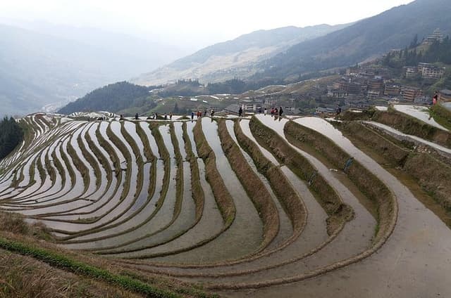 Guilin Tea plantation and Longji Rice Terraces Day Tour from Yangshuo hotel